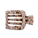 Blonde Tortoise