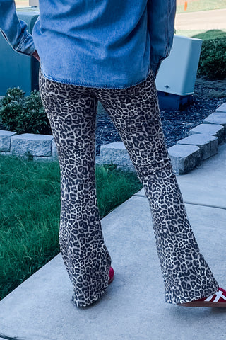 Cello Jeans Mid Rise Leopard Print Flare Denim AM39807LPD