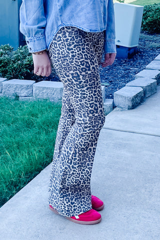 Cello Jeans Mid Rise Leopard Print Flare Denim AM39807LPD