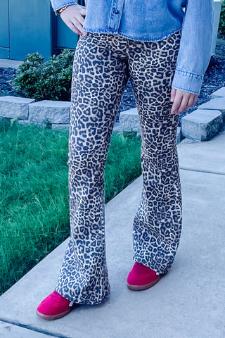 Cello Jeans Mid Rise Leopard Print Flare Denim AM39807LPD