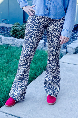 Cello Jeans Mid Rise Leopard Print Flare Denim AM39807LPD