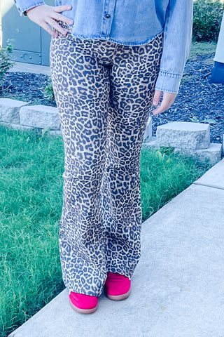 Cello Jeans Mid Rise Leopard Print Flare Denim AM39807LPD